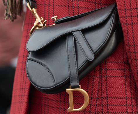 dior side bag